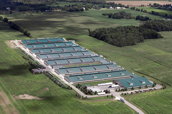 심양콘크리트정글유한회사